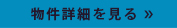 詳細を見る